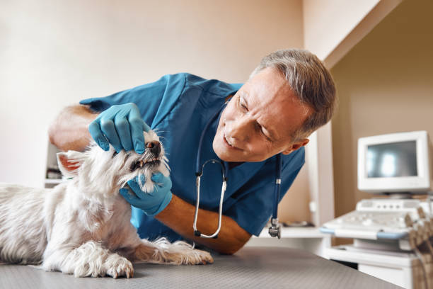 Best Emergency Wisdom Teeth Removal in Monticello, LA